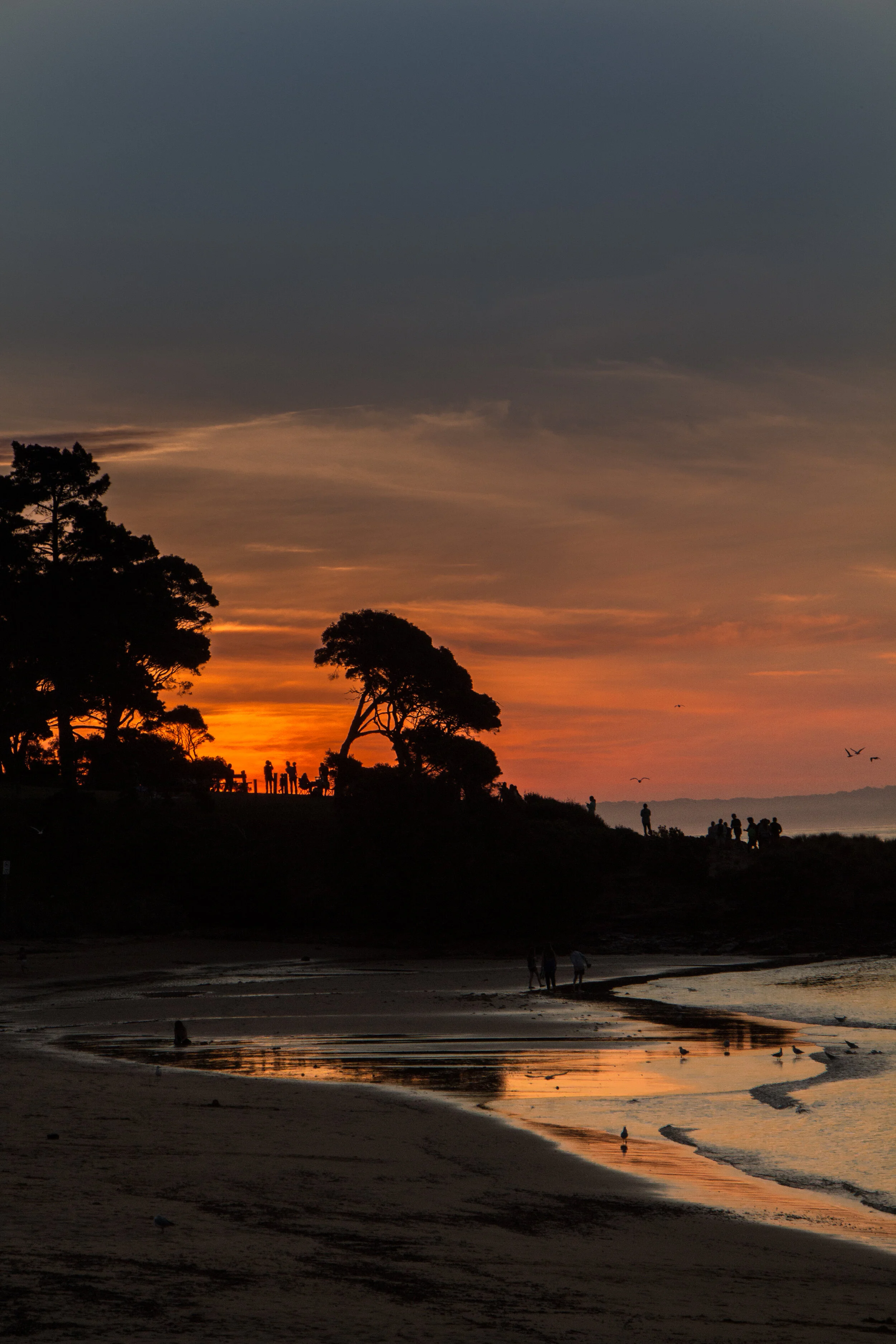 Phillip Island - Family Sunset-4.jpg