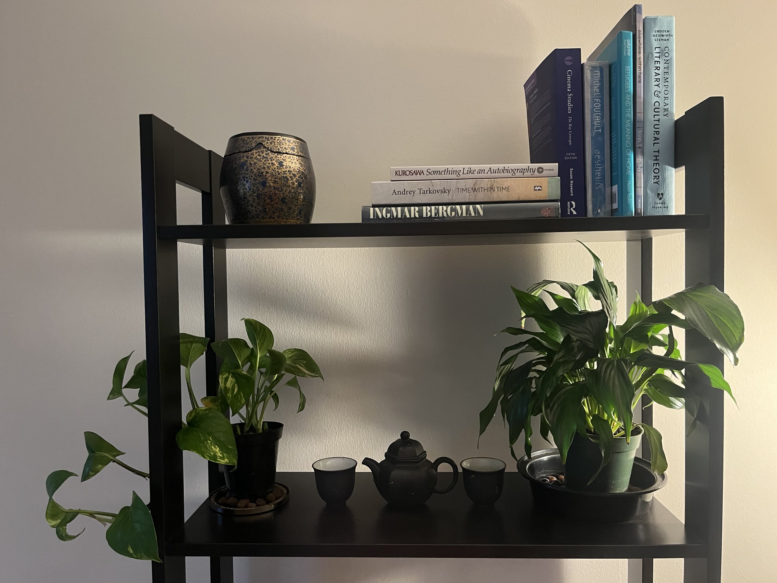 a brooding threnody to the disappearing joy of reading