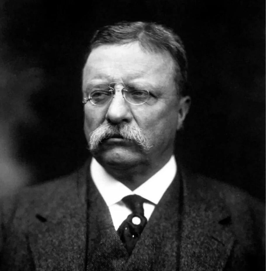 Revisting Theodore Roosevelt