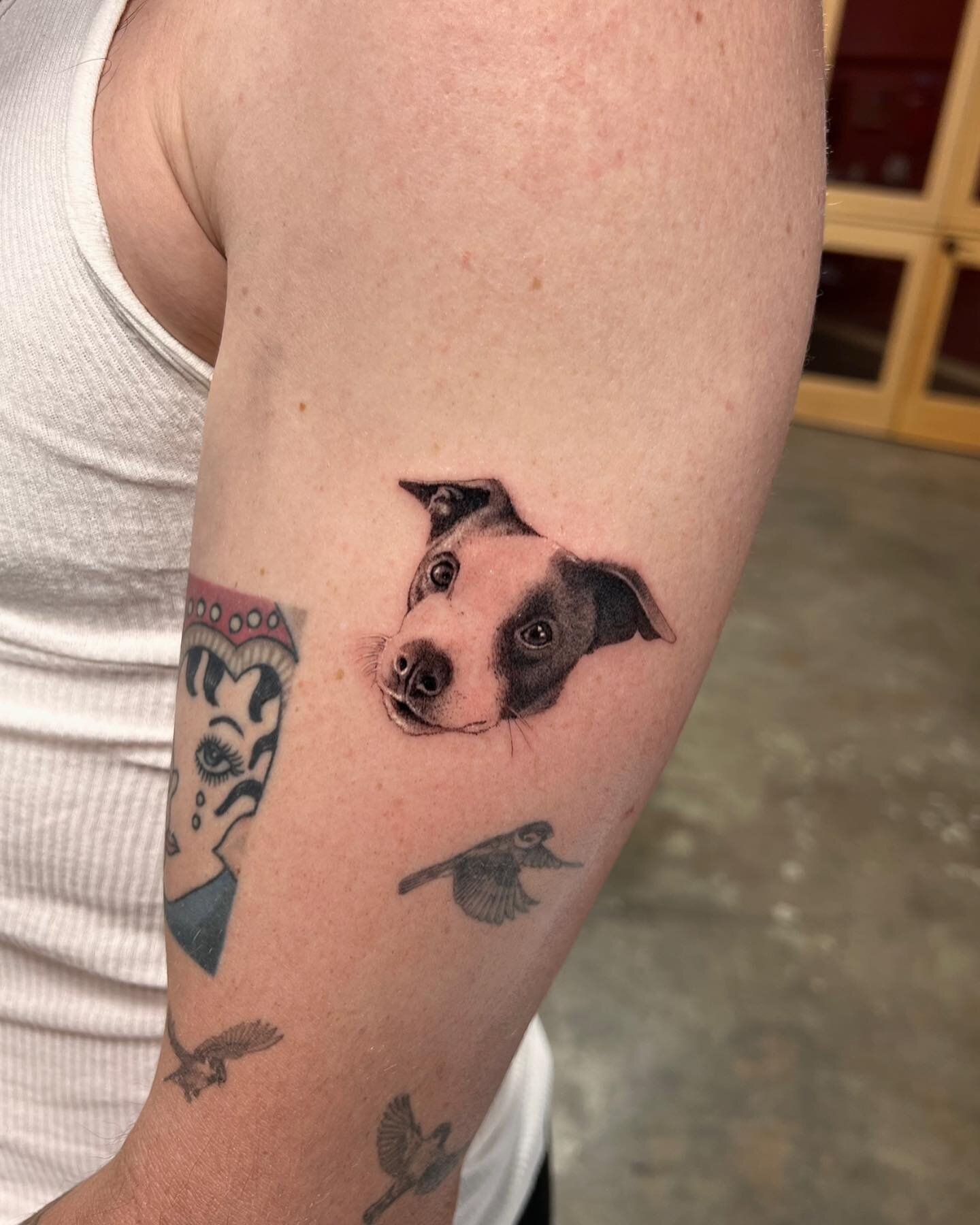 I really enjoyed this one and would love to do more in the future! 🐶
.
For scheduling please visit codeydoran.com or email booking@codeydoran.com
.
Done at @thelarivertattooco w/ @emalla.official 
.
#dogtattoo 
#microportrait 
#emallacartridges