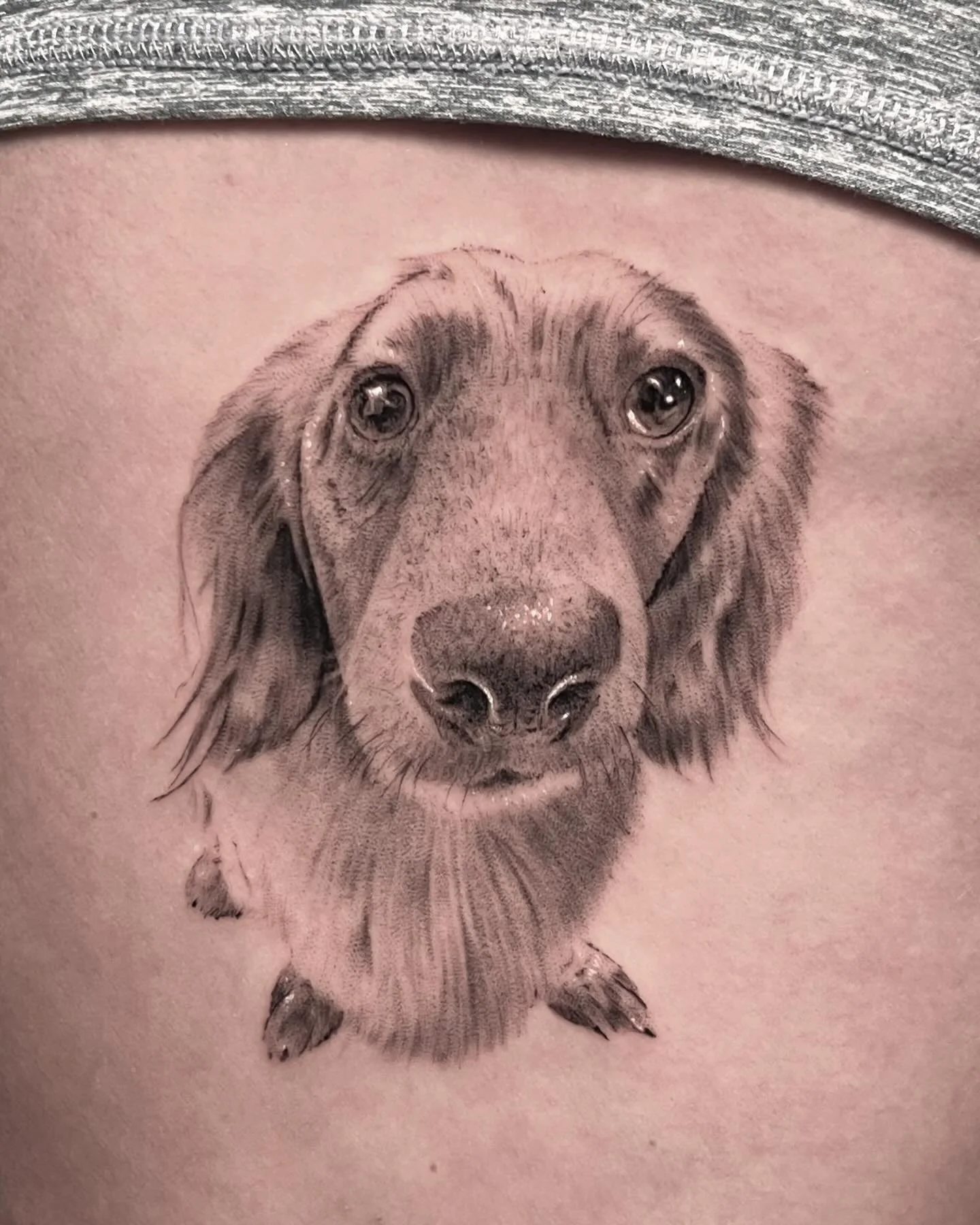 Meet Oswald, he&rsquo;s a good boy! Swipe to the last video 😂🐶

Done at @thelarivertattooco with @emalla.official 

#dogportrait 
#pettattoo