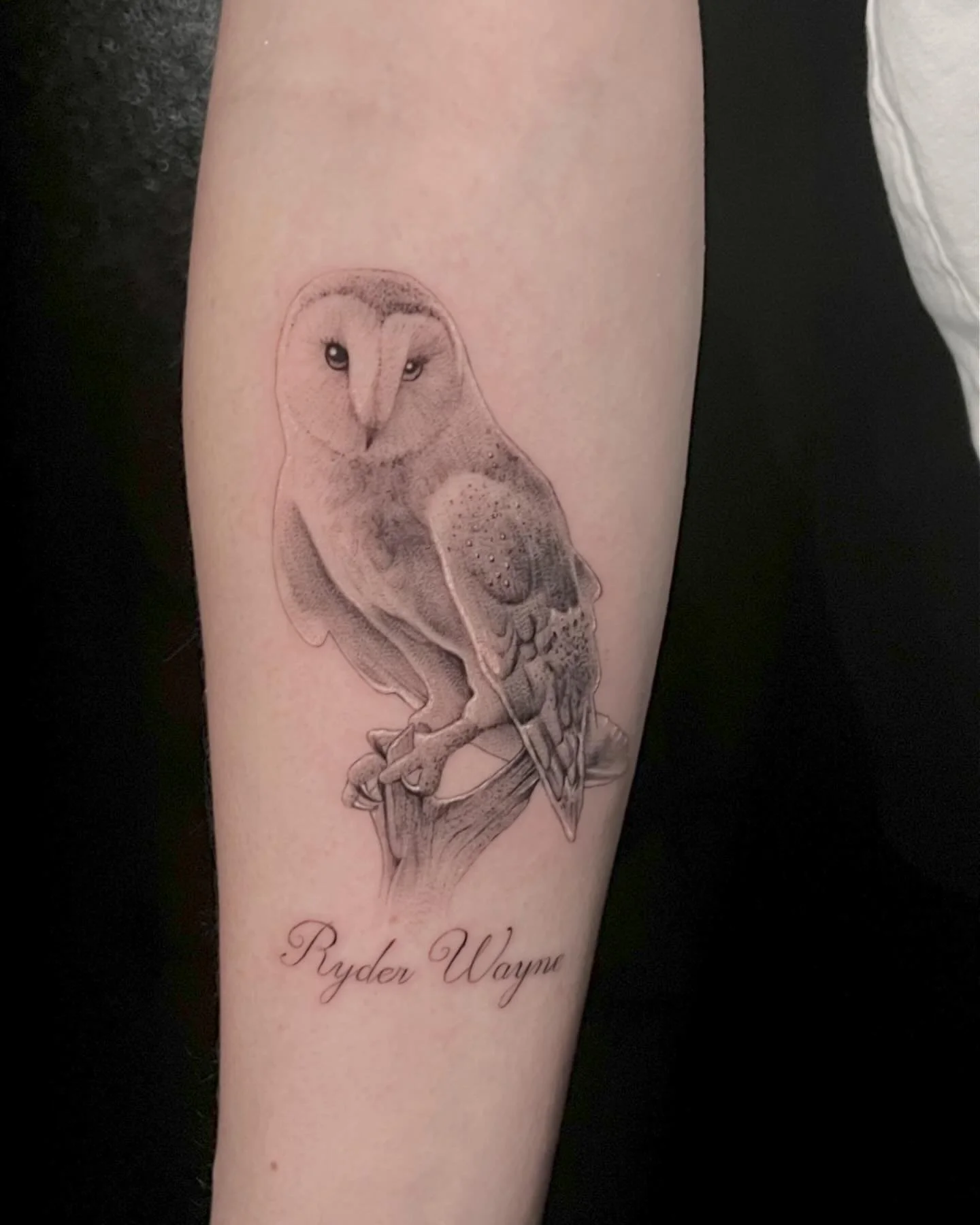 One of my favorite styles to do! If interested in getting a tattoo similar to this please visit codeydoran.com or email me directly at booking@codeydoran.com
.
Done at @thelarivertattooco w/ @emalla.official cartridges.
.
#finelinetattoo 
#owltattoo
