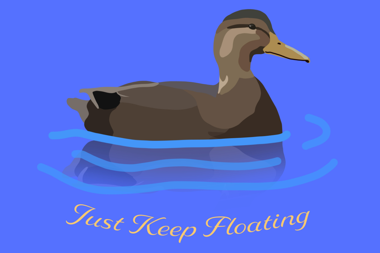 How Ducks Have Taught Me to Relax 