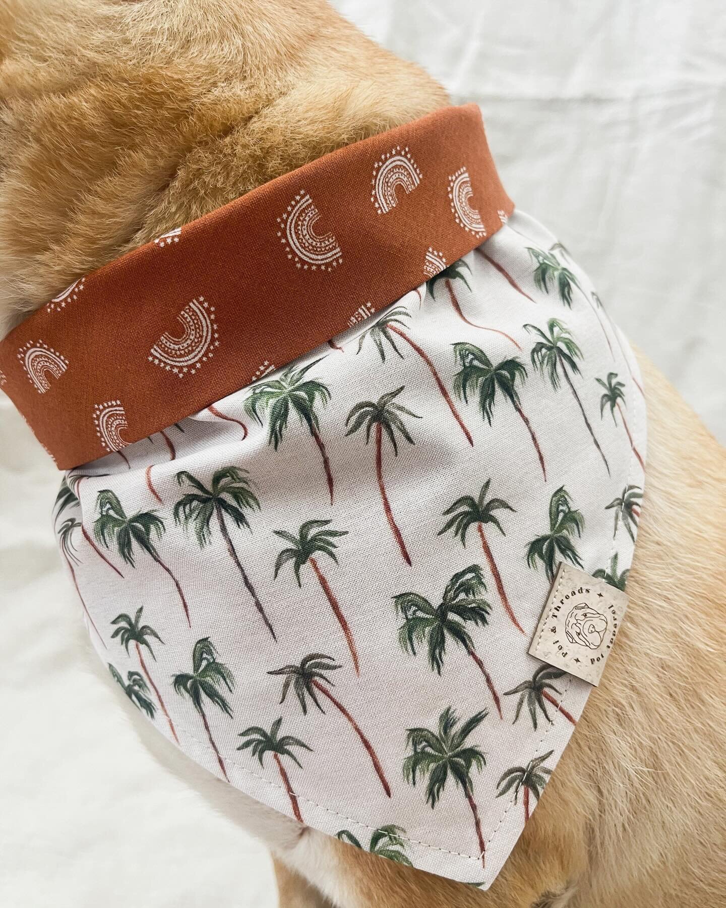 New bandanas are now available online! If you&rsquo;re local you can save on shipping by picking up your order at an upcoming event!

Next event is @sanford_pintsnpaws! Link in bio for more info 🐾

Nova is wearing the SoCal &lsquo;dana in size mediu