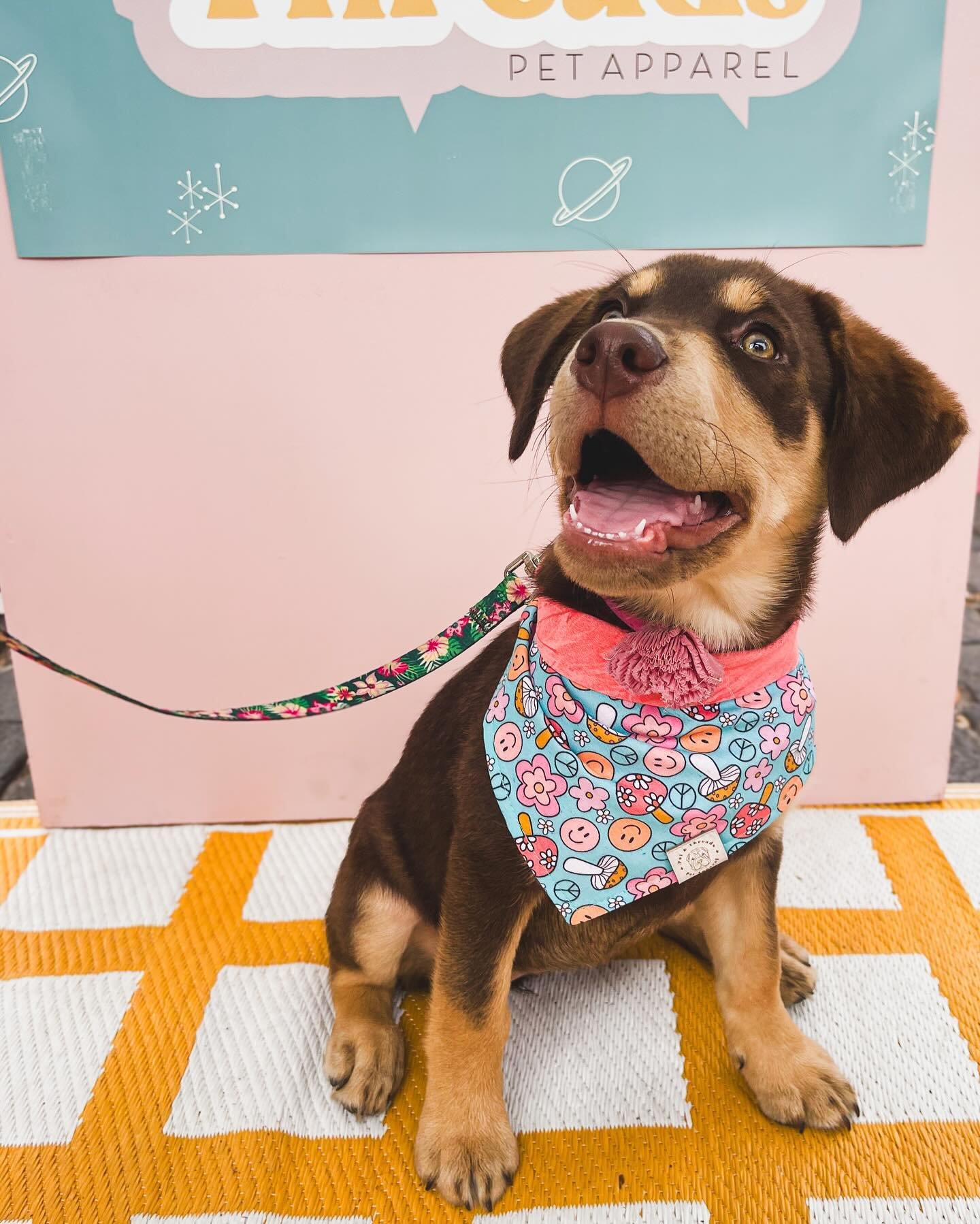 Join us this Saturday @ivanhoeparkbrew for a great cause event! We will be donating a portion of our sales to The Leukemia &amp; Lymphoma Society so make sure to come out and support! 🐾 More info in bio!

Pictured is the cutest puppy ever!! She&rsqu