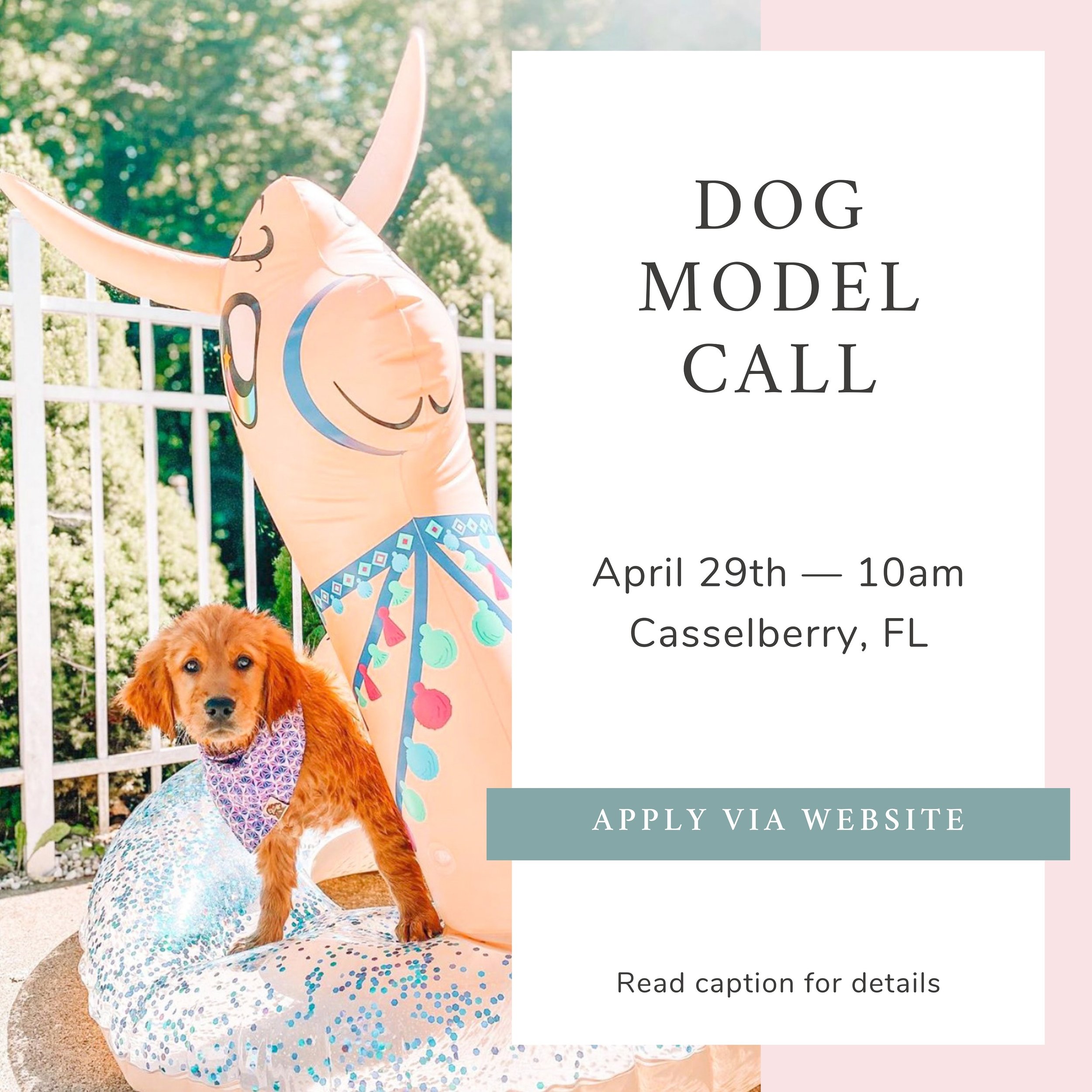 We&rsquo;re searching for 1-2 dog models for our upcoming summer collection photoshoot! 📸 The photoshoot will take place at a private pool. 😎 If you know your dog is the cutest, loves to swim (not a requirement) and can follow basic commands like s