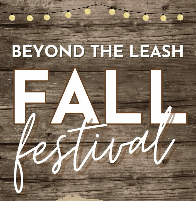 Fall Festival