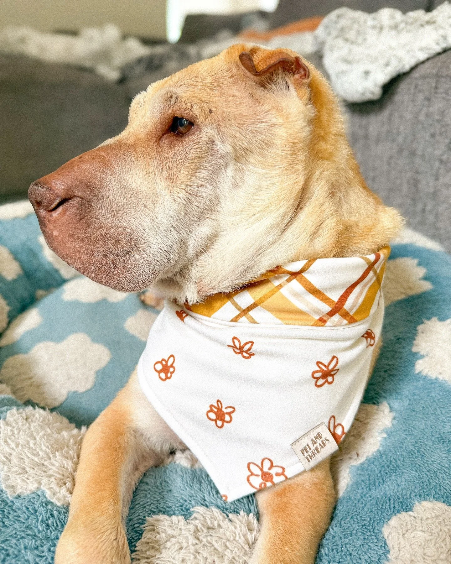 Obsessing over this autumn bandana on Nova! The scribbly flowers and plaid combo is everything we need for the new season 🍂
⏰Fall dropping Wednesday 9/17 at 6pm EST!
#peiandthreads