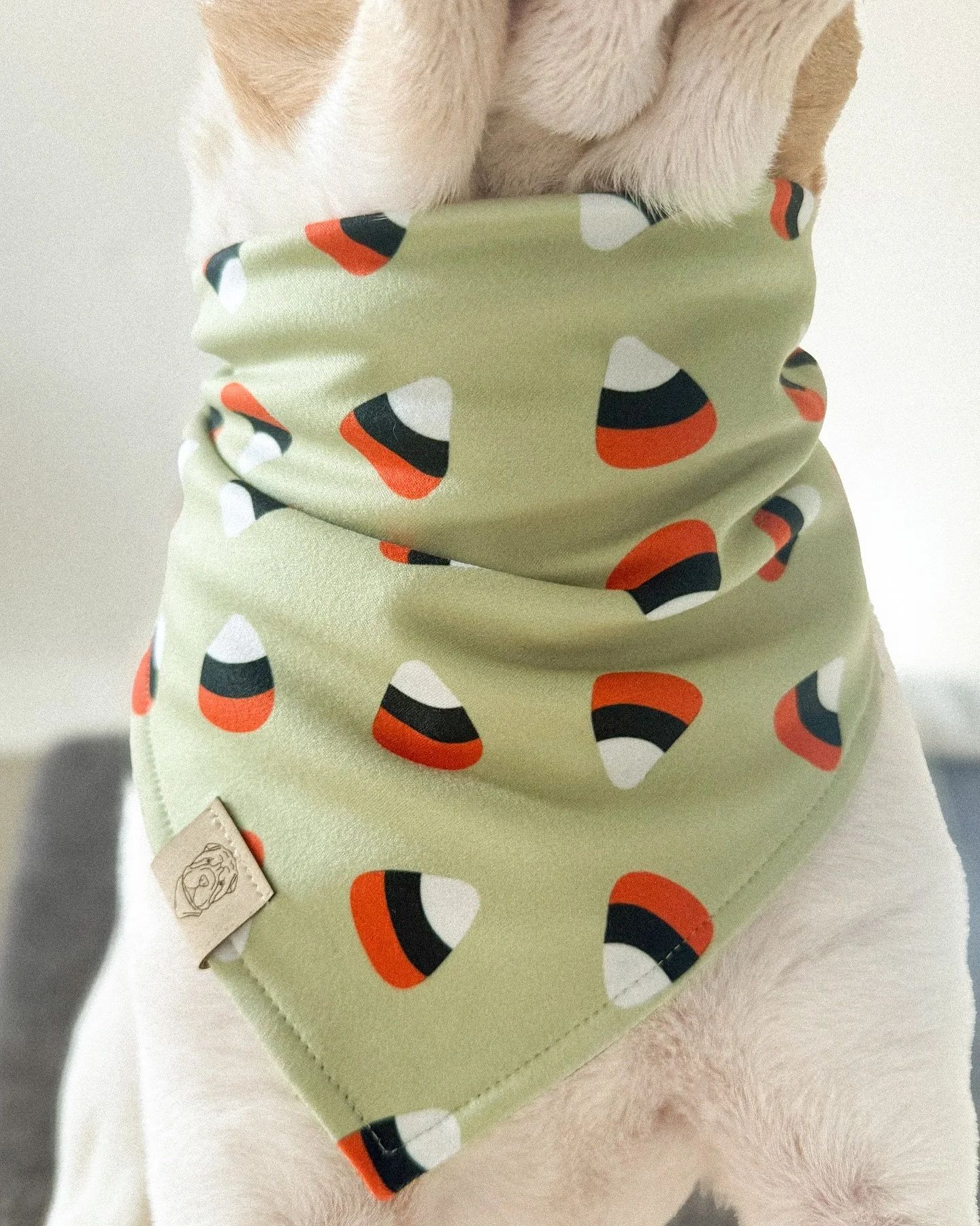 Our fall bandanas are live! 7 reversible designs to pick from, 6 made with our signature Buttery Soft fabric for ultimate comfort. The Berry Plaid ‘dana is a warm flannel perfect for the season 🍂
Kuiper is wearing the reverse side of Spooky H