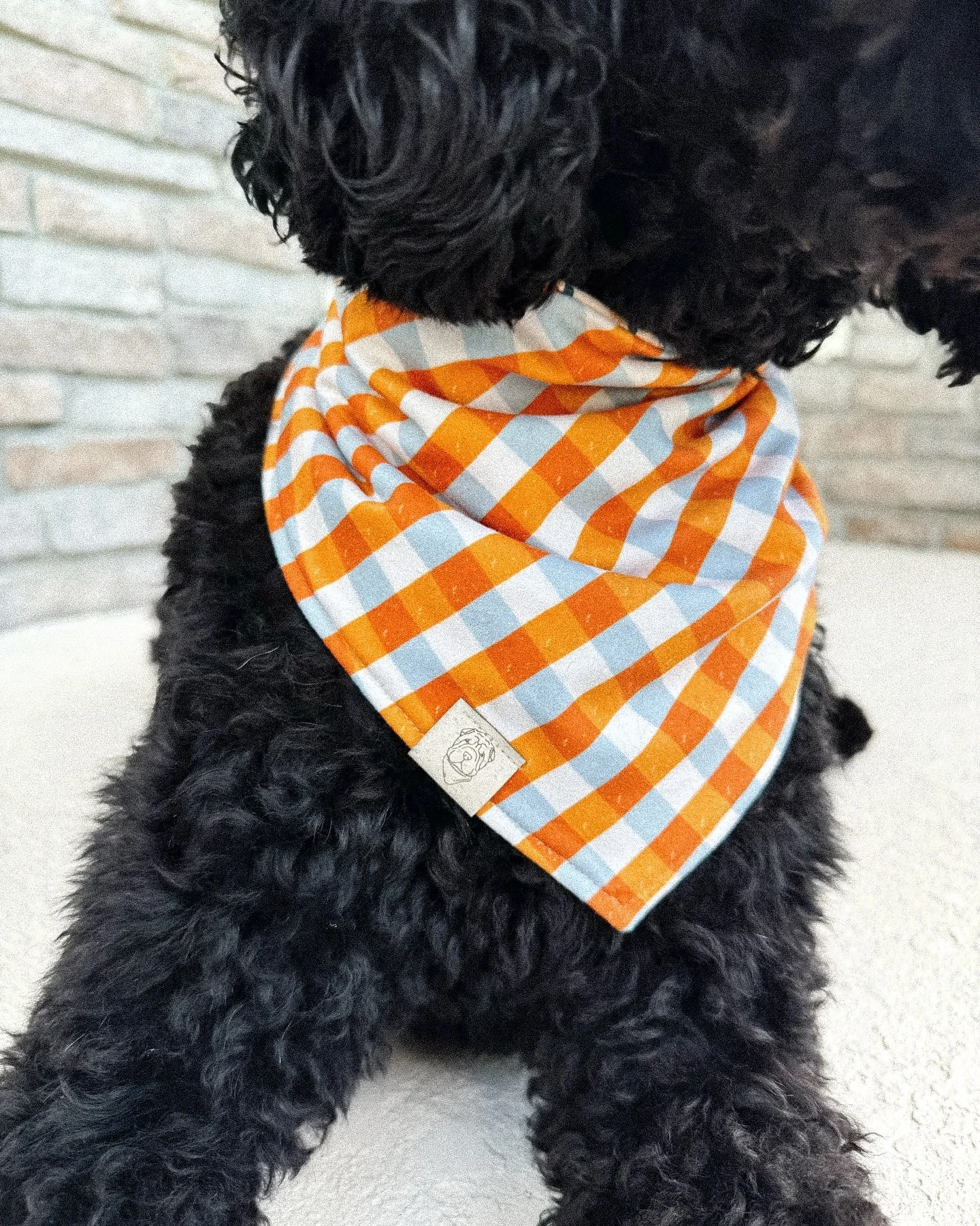 I love this time of year! The weather’s starting to cool, and our buttery soft bandanas are the perfect accessory for all the fall things 🍁 
Made from our premium buttery soft fabric, they’re ultra cozy with just the right amount of str