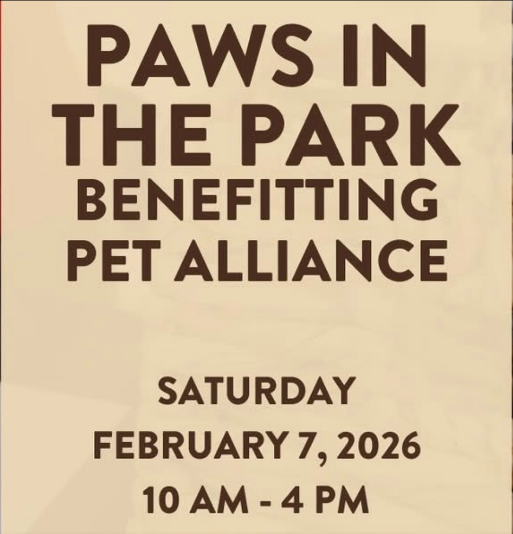 Paws In The Park