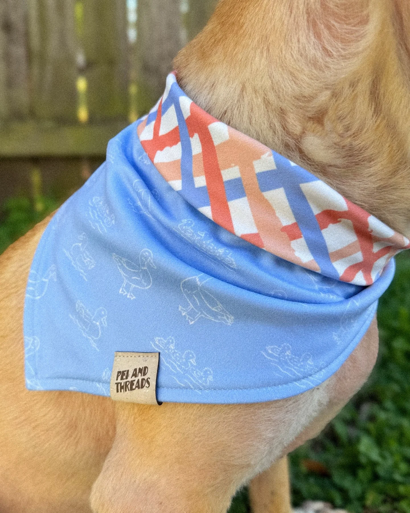 Say hello to Bayou Waddle 🦆
The sweetest duck outlines paired with a pop of spring color on the reverse.

Charming, playful, and perfect for pets who love something a little simpler but never boring 💙

Bloom &amp; Bright drops 3/6 at 6PM EST ✨