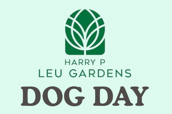 Dog Day at Leu Gardens 