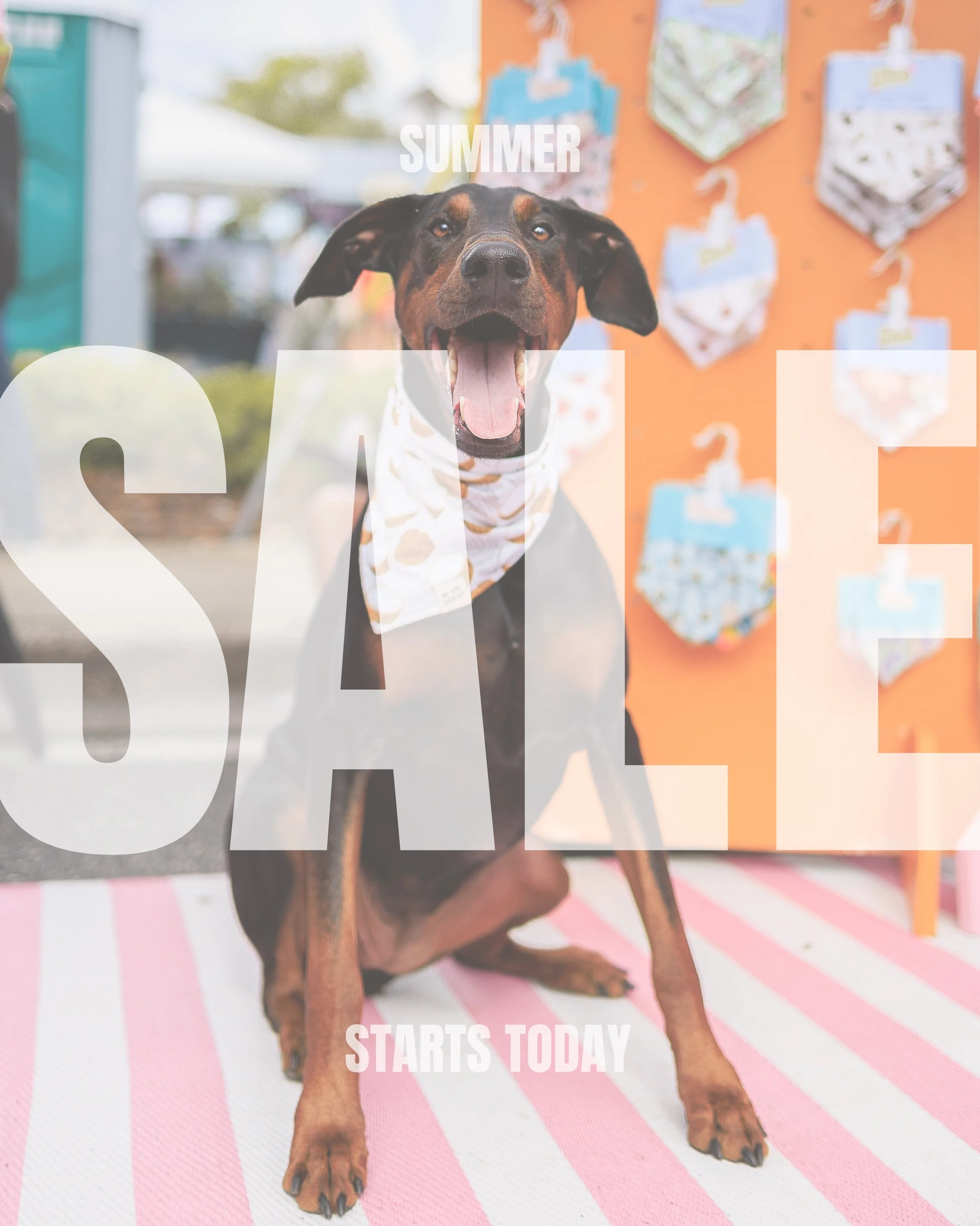 ☀️ Our biggest Summer Sale is HERE! ☀️

40% off all bandanas! 🔥 Snag your favorite before they disappear! We&rsquo;re making room for our cozy fall collection, so now&rsquo;s the perfect time to stock up.

🏷️Sale ends Monday &mdash; use code SUMMER