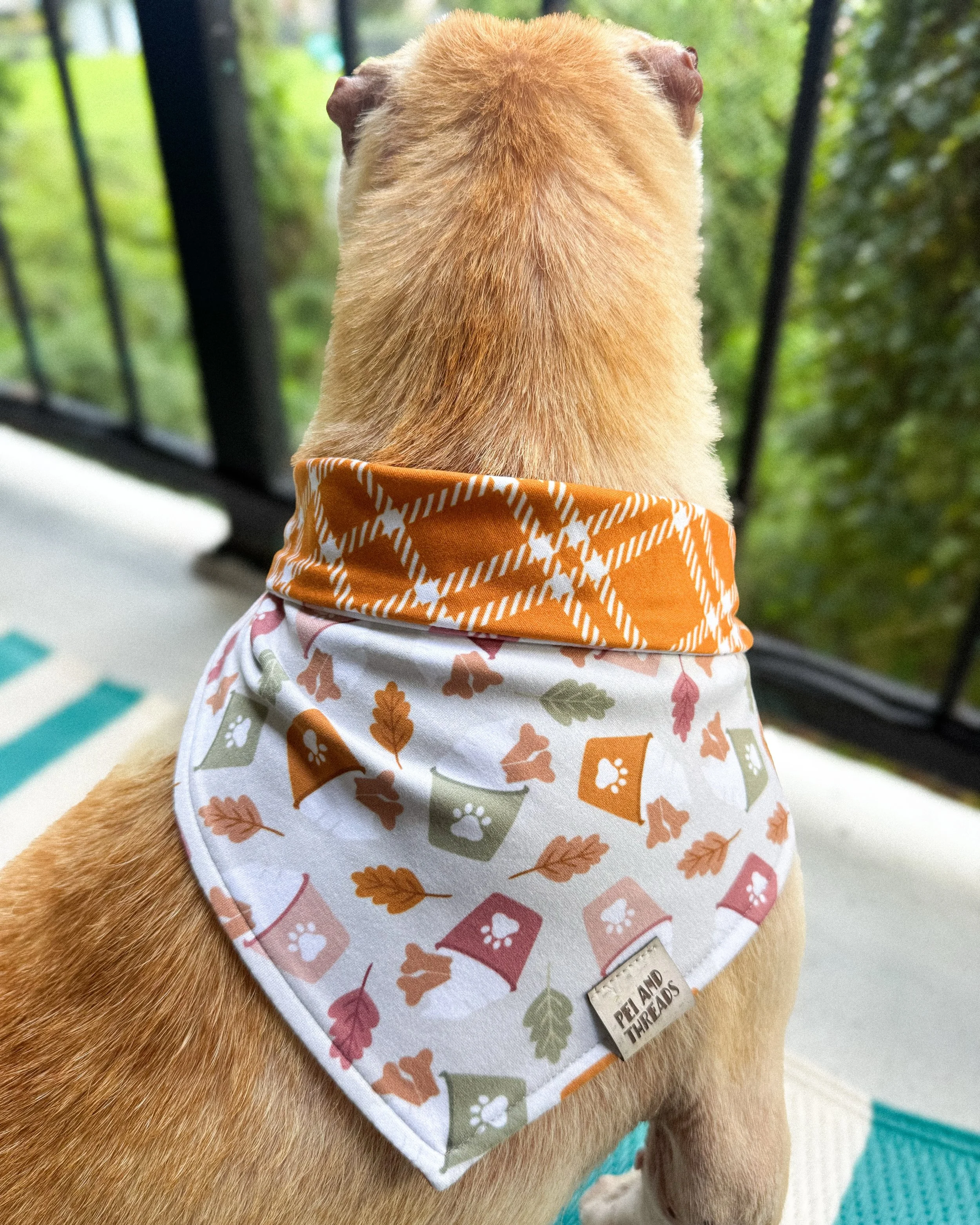 Last but not least, Sweet Harvest 🍦🍂

Lmk which one you&rsquo;re adding to your cart immediately! 🛒

⏰ 6 new reversible fall bandanas dropping tonight at 6pm EST. Limited quantities!