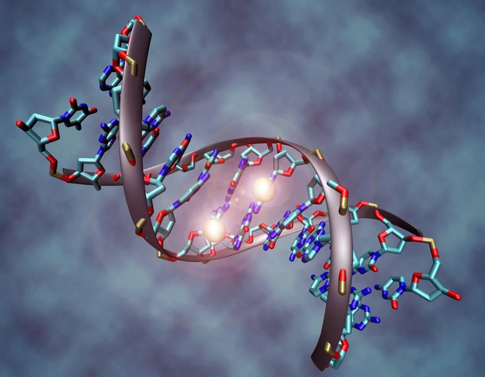 177 - You vs Your Genetics Part 2 episode artwork
