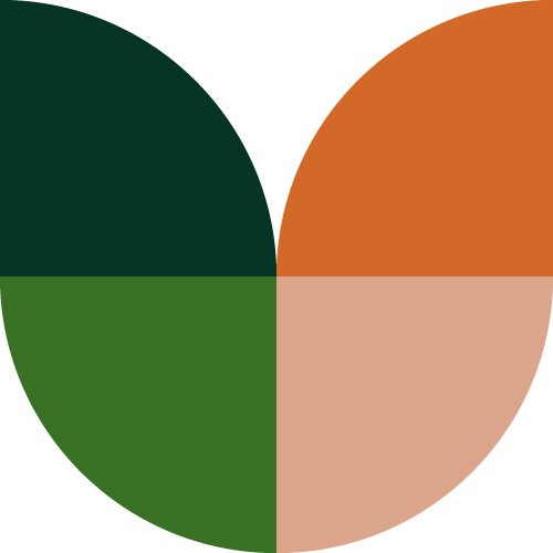 Launching our revamped online courses