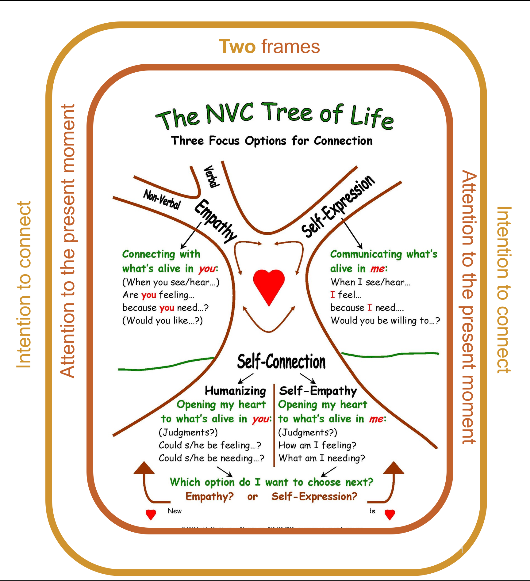 NVC Model, Processes and Key Differentiations