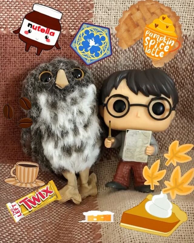 🟡Today I&rsquo;m going to introduce you to Little Sovenushek and Harry.🟡
&bull; Little Sovenushek is an owl and Harry is, well... you all know Harry.
&bull;They are always together. They look after each other. They make sure that the other one gets