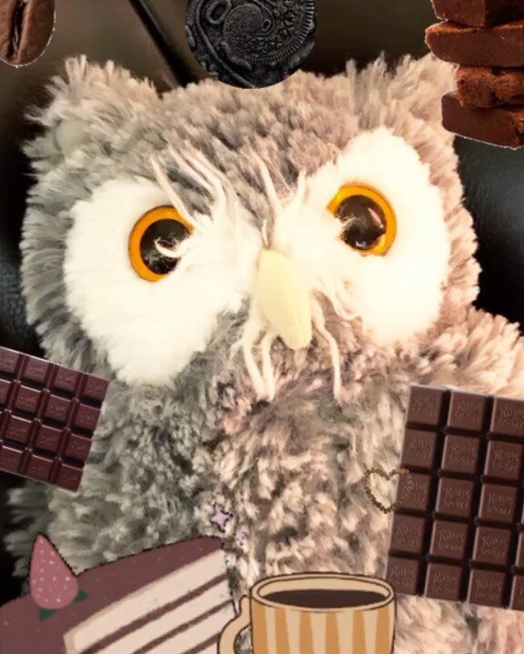 🟤Today I&rsquo;m going to introduce you to Sovushka🟤
&bull;Sovushka is an owl.
&bull;He likes his coffee black. Recognizes only dark chocolate, with only one exception for Chocolate Frog, which is milk chocolate.🥃☕️
&bull;Sovushka always picks som