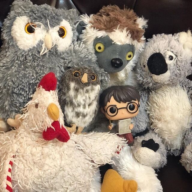 Hello friends! You all know me very well. But what do you know about my family? Starting tomorrow I&rsquo;ll be introducing each member one by one! Don&rsquo;t miss it! 🍍🌽🍫☕️🍓🐨🐔🐵🦉🐥⚡️
.
.
.
.
.
#family #malishkoala #plushiesofinstagram #plush