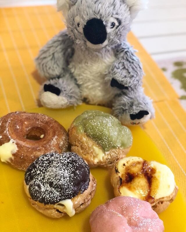 Uh-oh! It&rsquo;s almost the end of #honeygroveteapartytuesday but we still have a couple of hours to treat ourselves! So I brought some @beardpapas cream puffs! Please enjoy it with your Wednesday morning tea😉 🐨🍦
.
.
.
#malishkoala #beardpapas #k