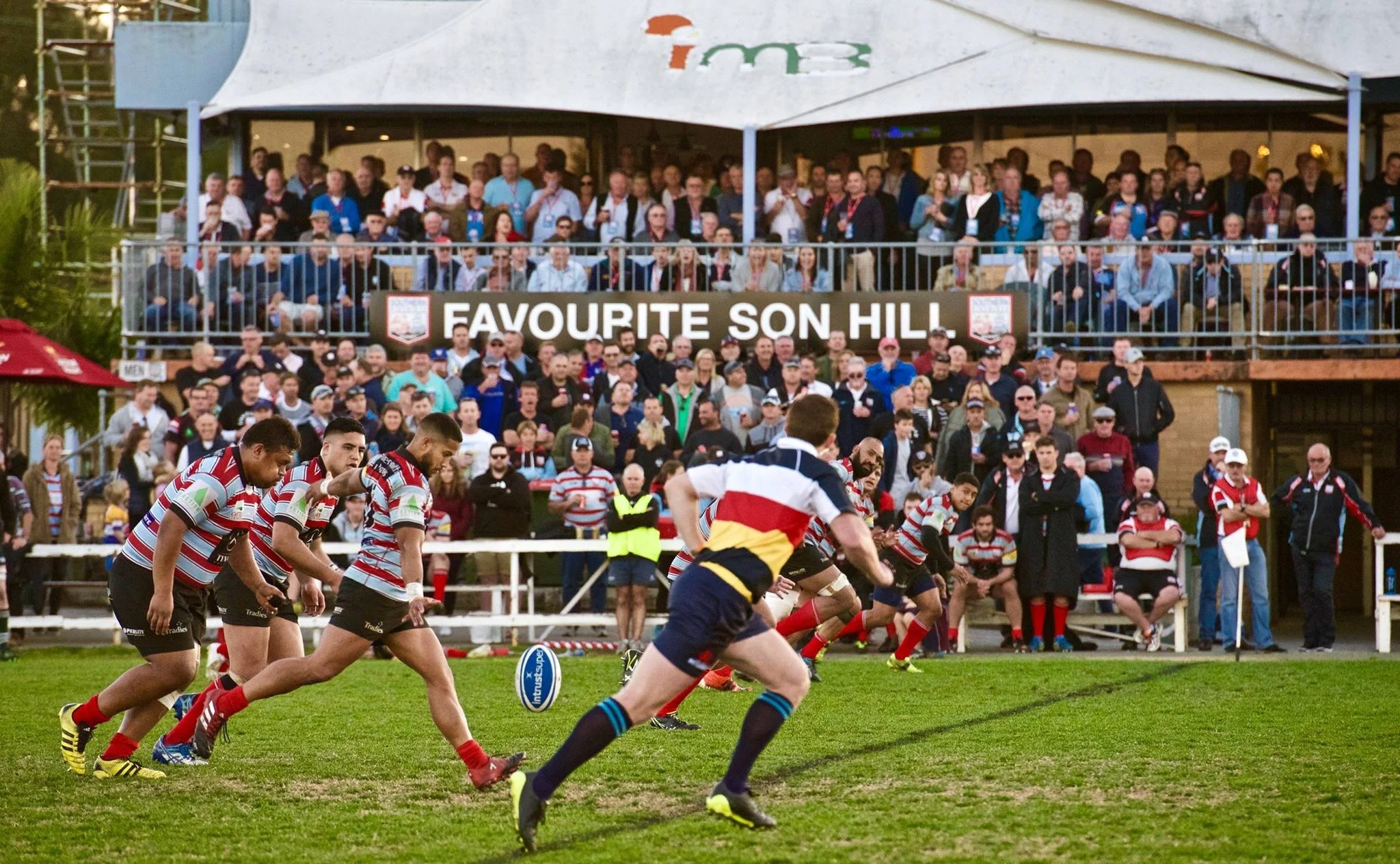 Membership Open for 2020