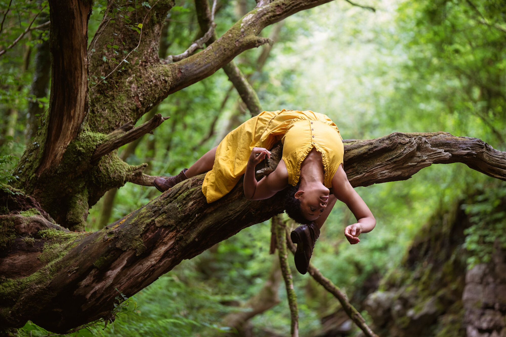 Rewild