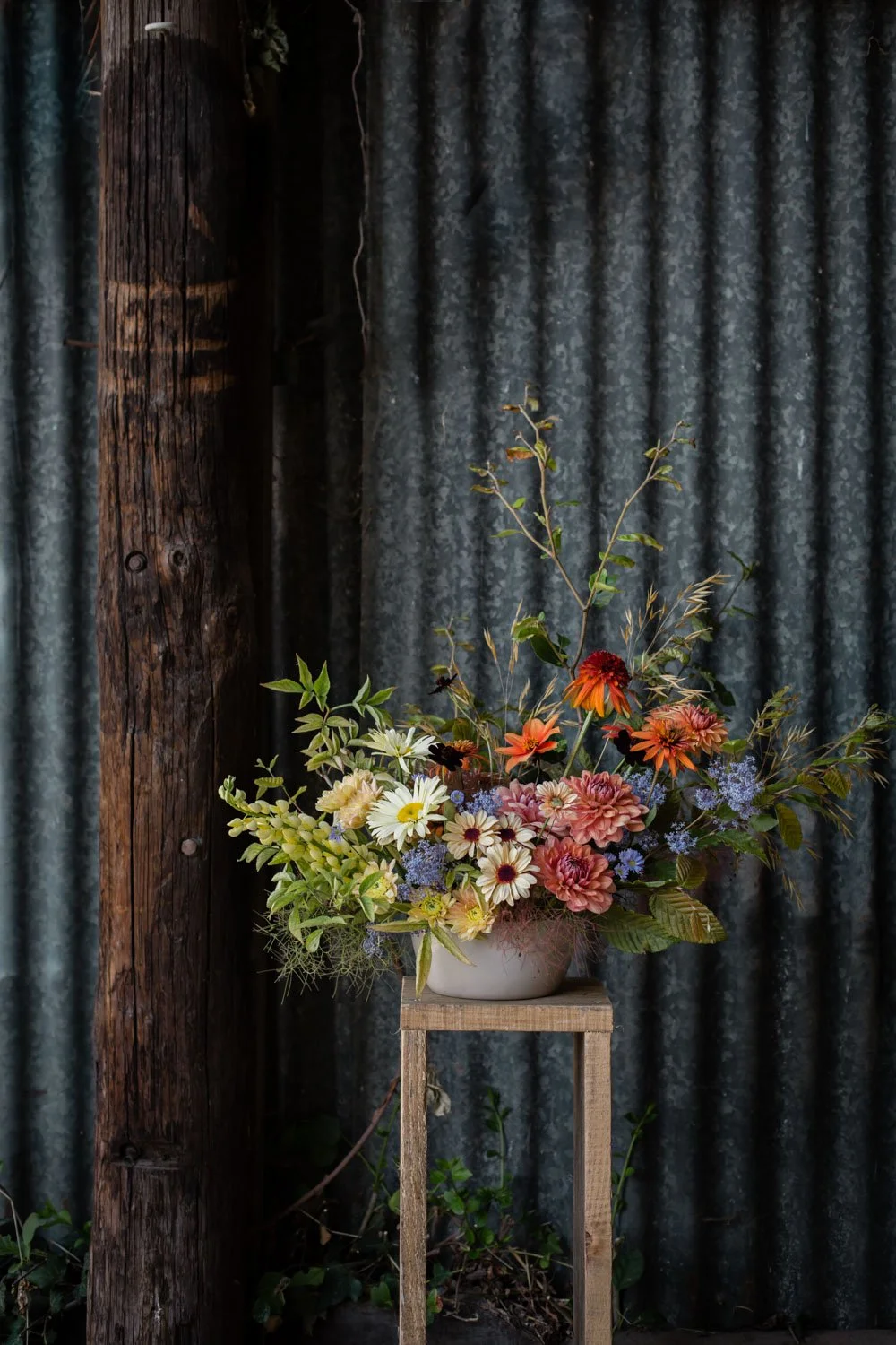 PHOTOGRAPHE-PRODUCTEUR-LOCAL-FLORICULTURE-LILLE-5-min.jpg