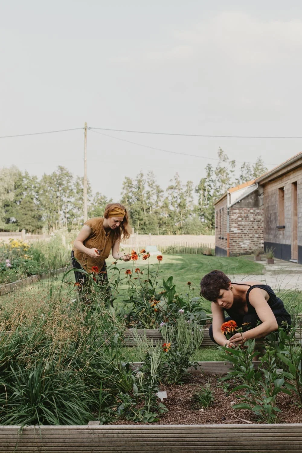 PHOTOGRAPHE-PRODUCTEUR-LOCAL-FLORICULTURE-LILLE-12-min.jpg