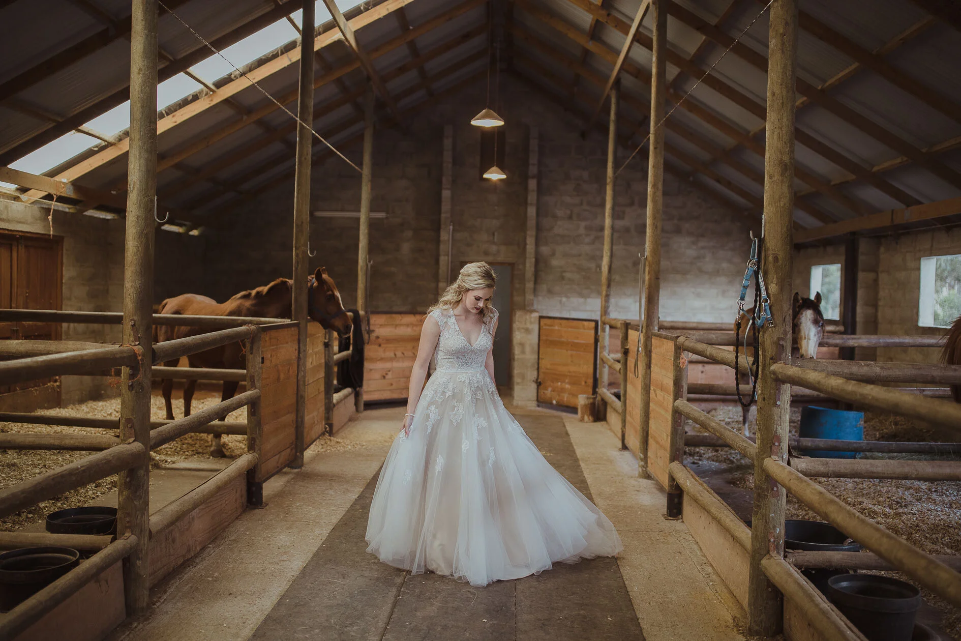 wrenschdoesweddingsrecent (145of225).jpg