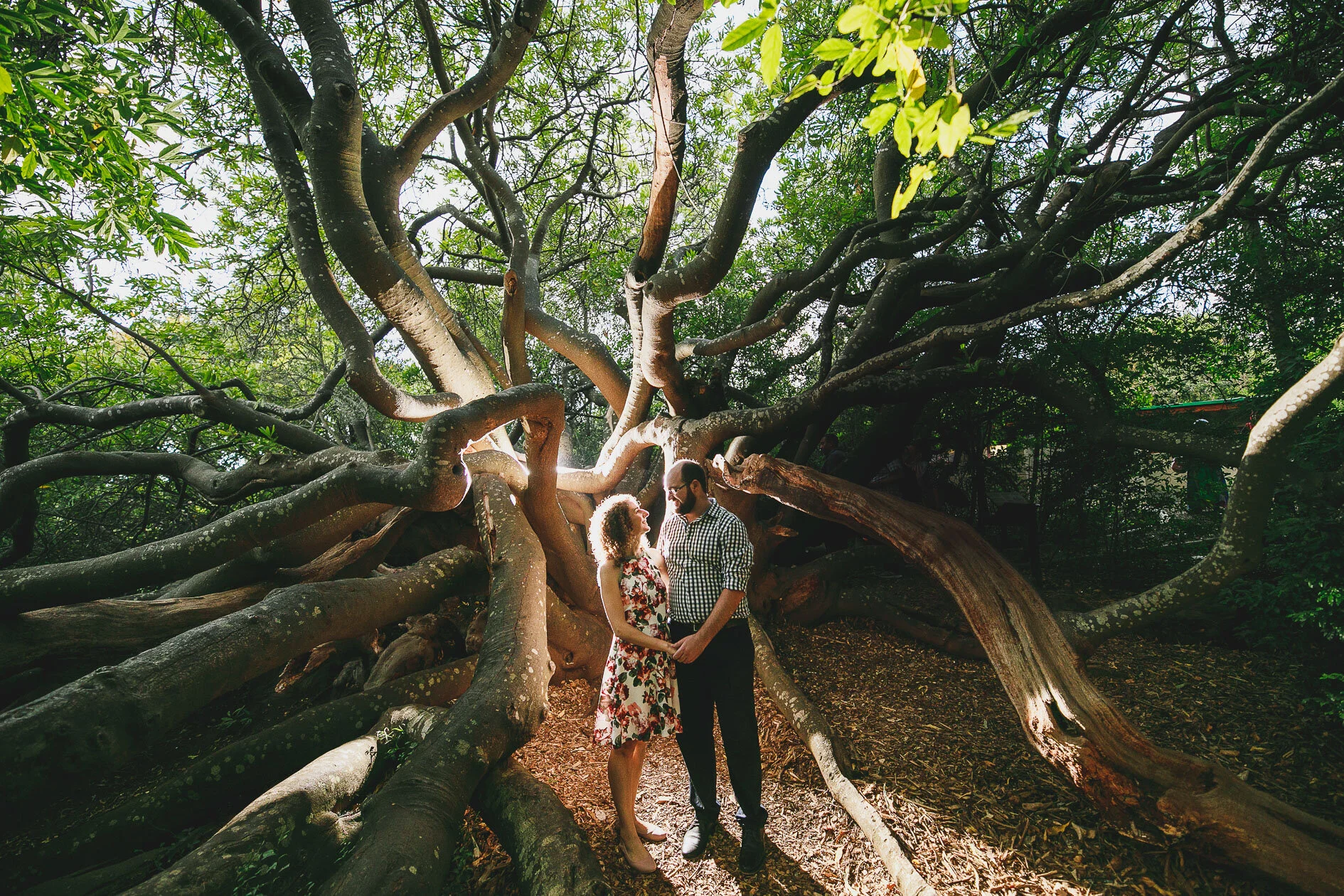 Cecilia &amp; Dawid | Engaged