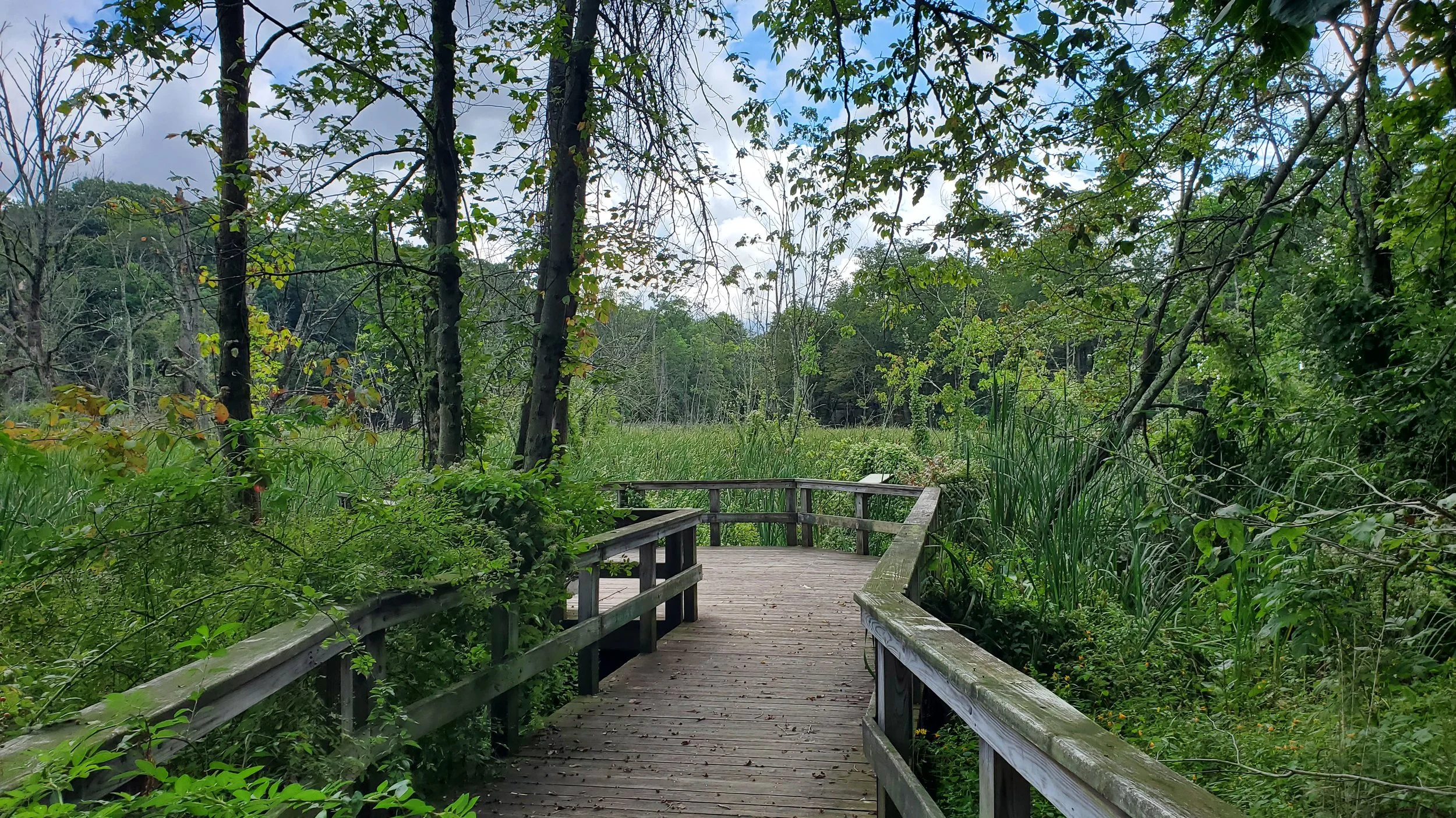 Walking path at Edgewood Park in New Haven