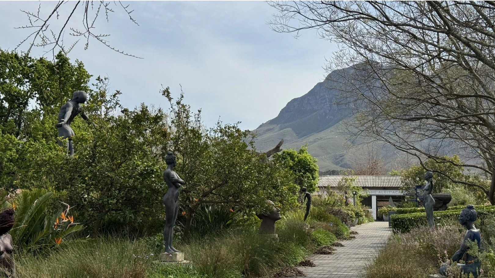 5 Reasons to Visit The Helderberg This Spring