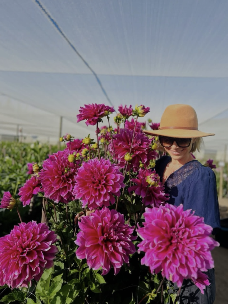 Image source: @adeneflowers_lourensford