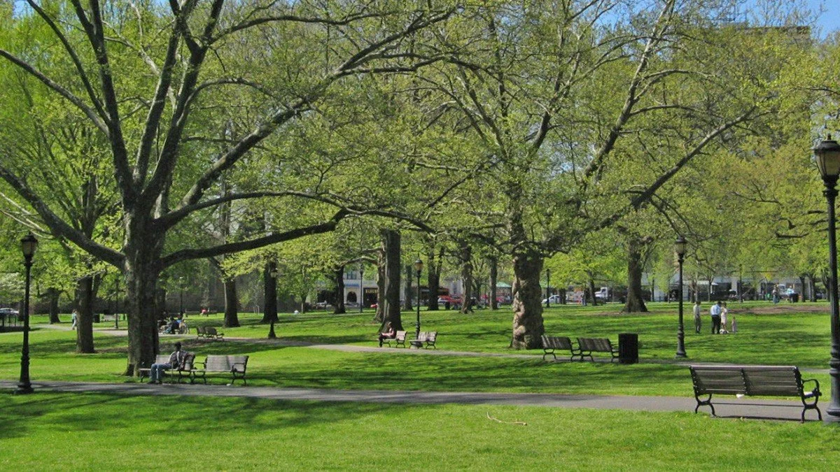 New Haven Green in downtown New Haven