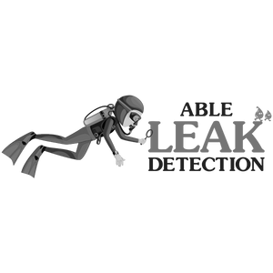 ABLE-LEAK.png