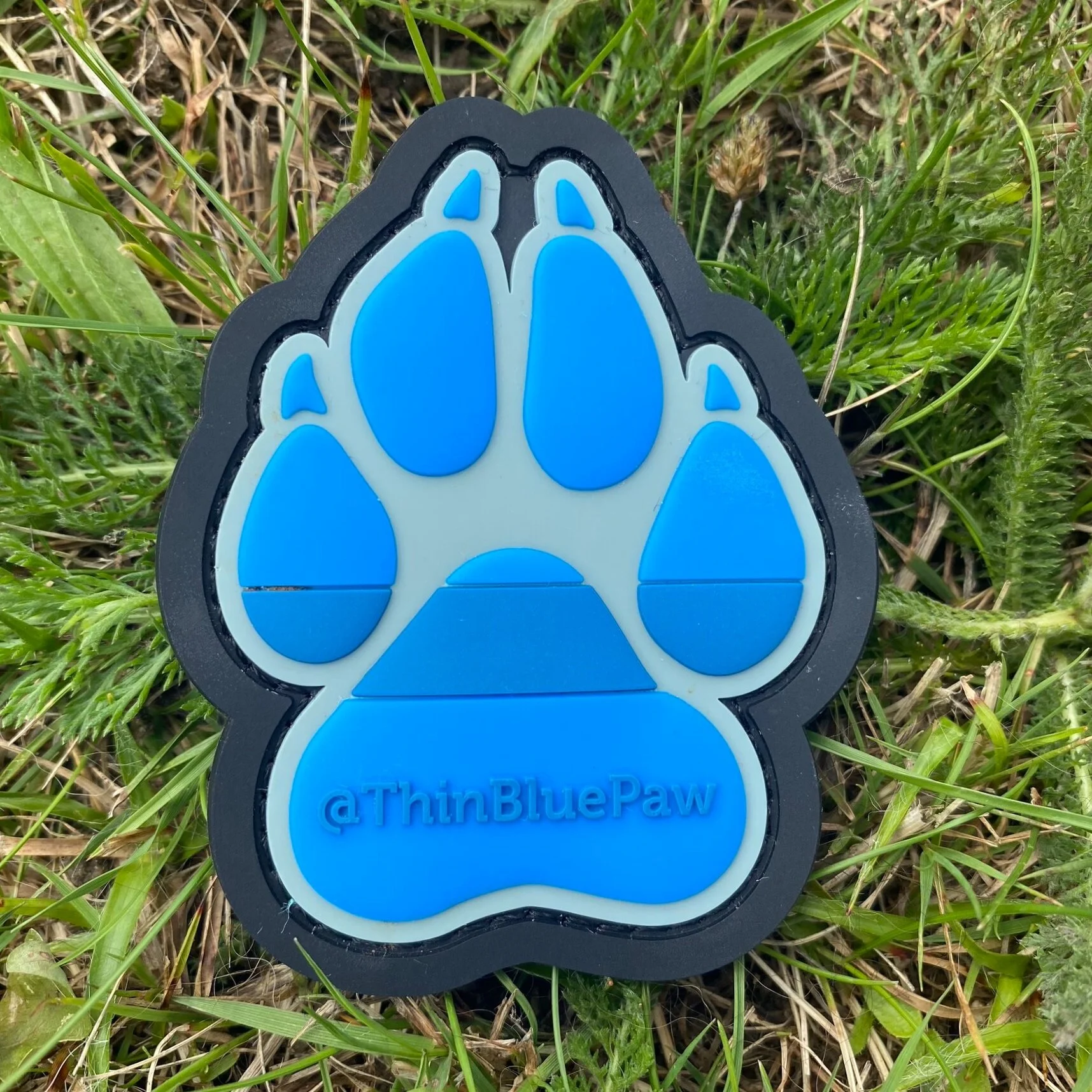 Thin Blue Paw Foundation Thin Blue Line Paw Patch