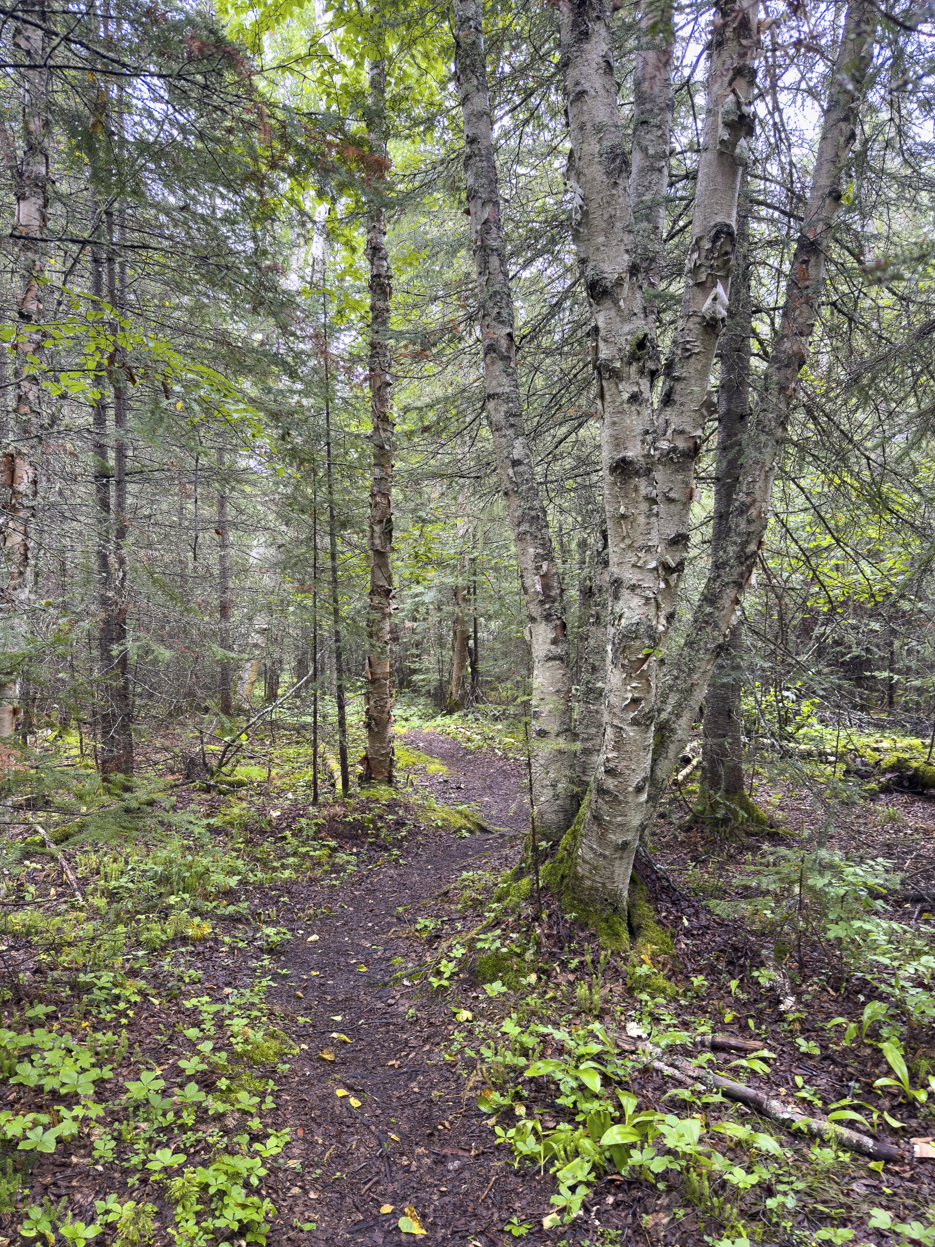 20250815_LakeSuperiorTrip_005_lr_srgb_master_2500px.jpg