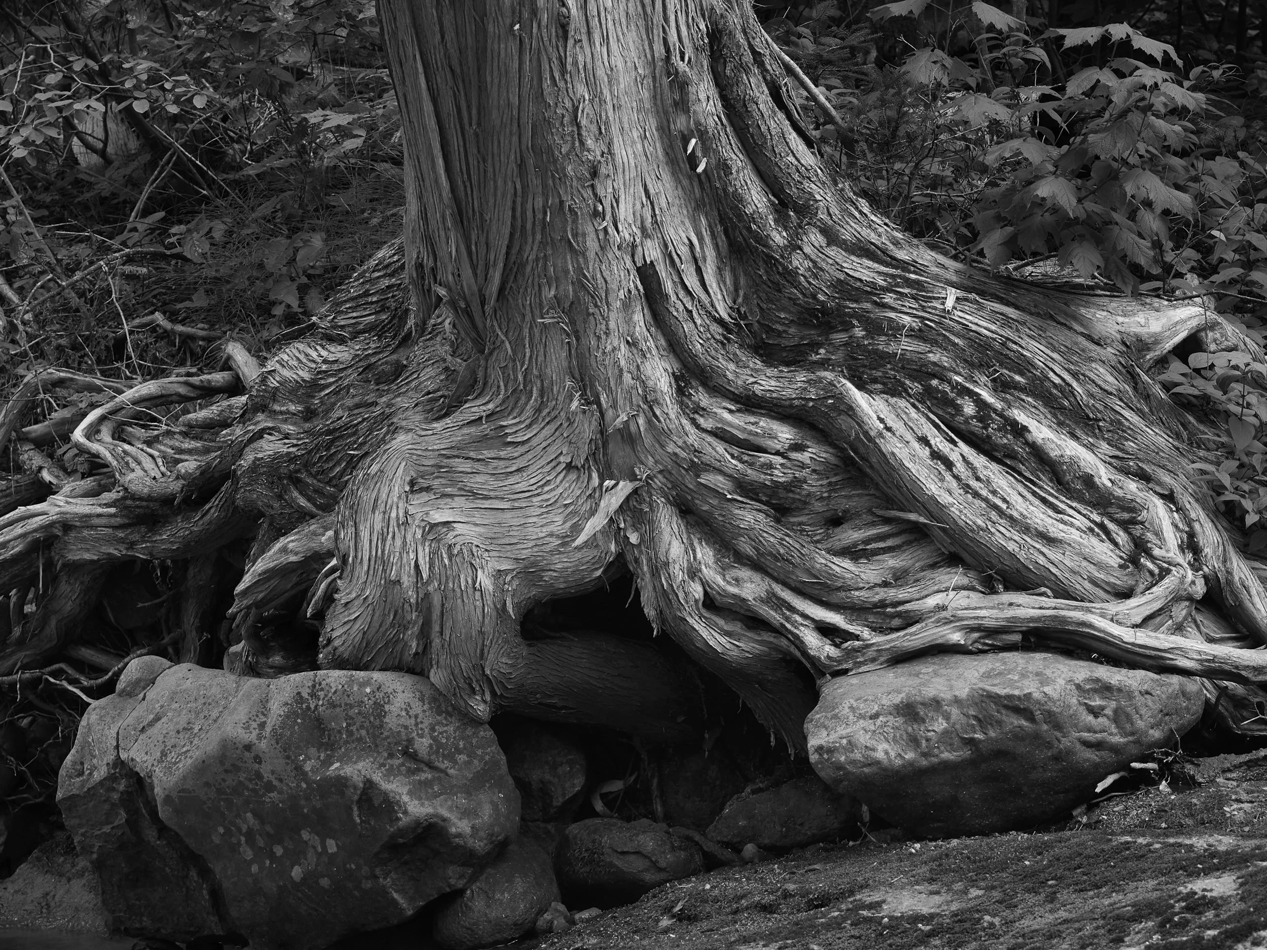 20250818_LakeSuperiorTrip_019_c1(argb98)_master_2500px.jpg