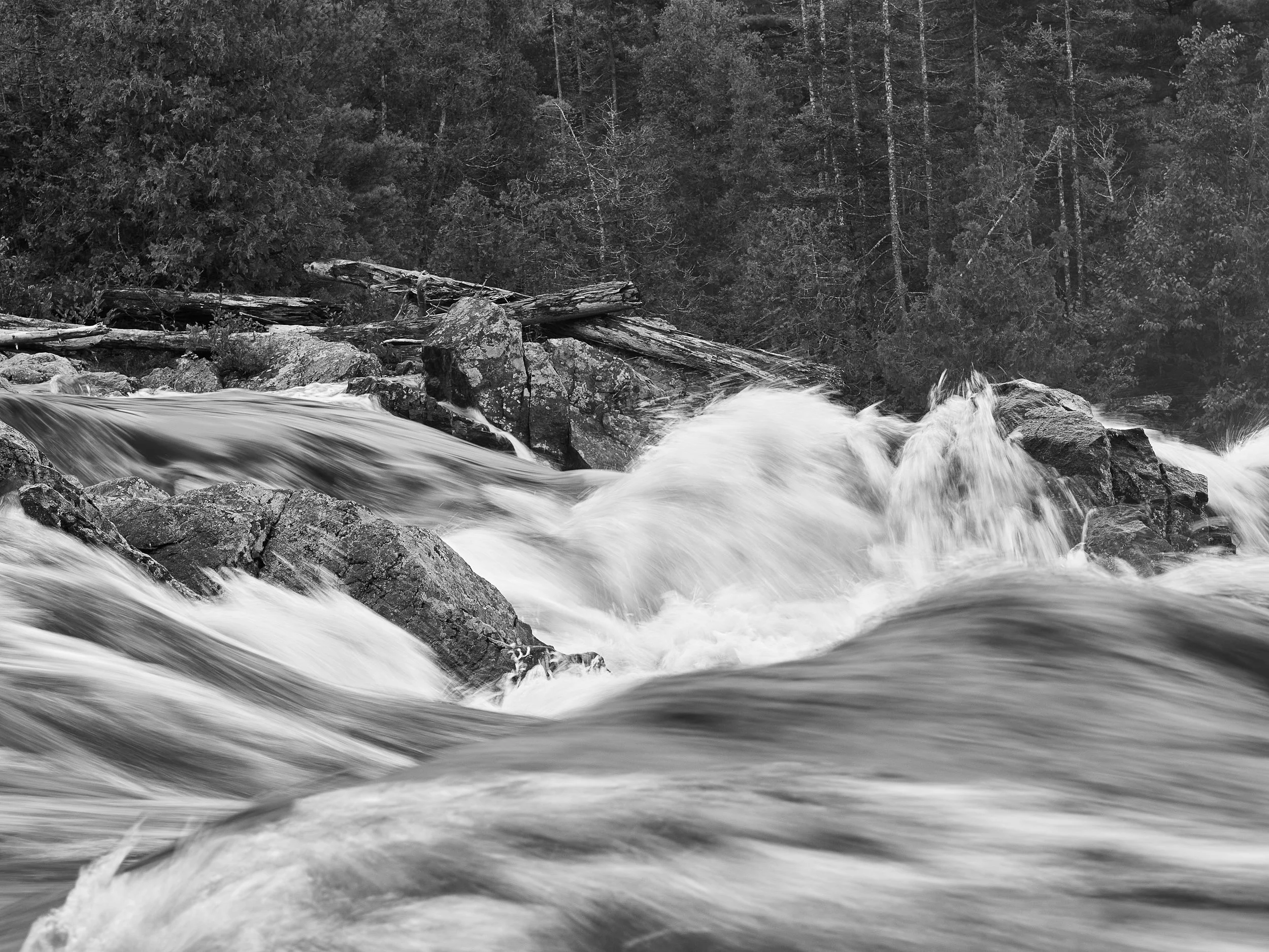 20250812_LakeSuperiorTrip_010_c1(argb98)_master_2500px.jpg