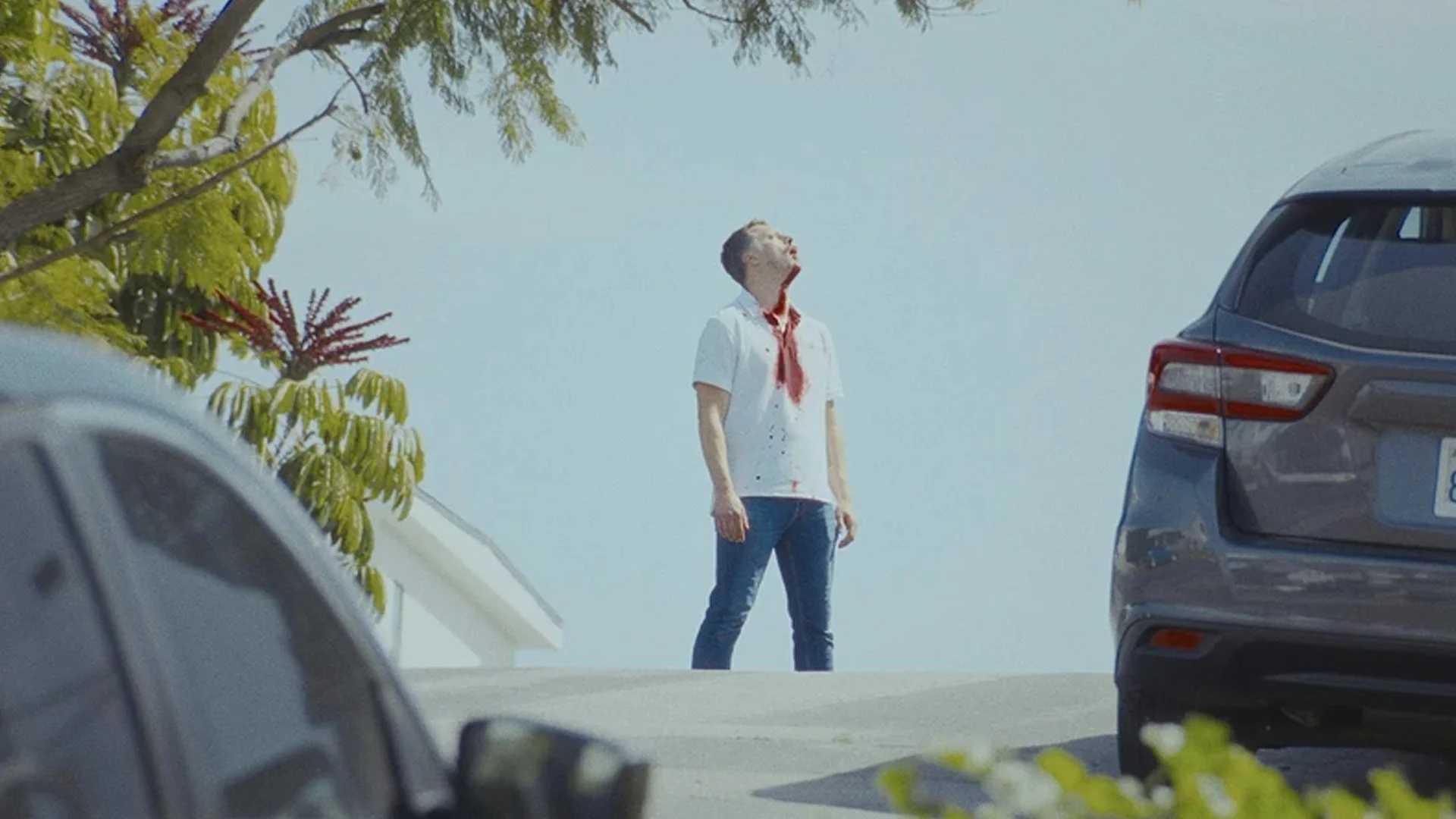 24 Hours After Reading Tuesdays with Morrie