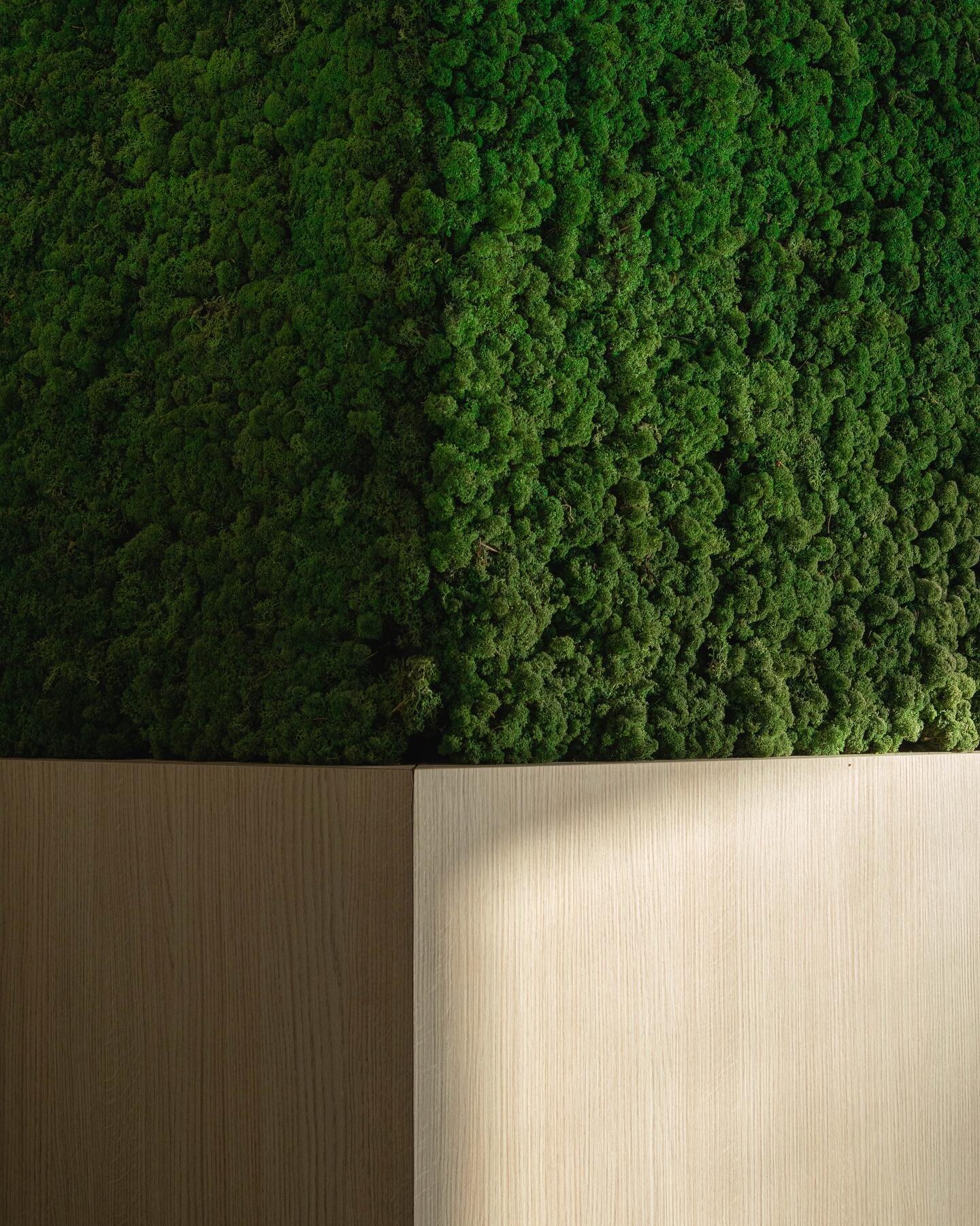 We werken met natuurlijke materialen, zoals mos. 
Dit zorgt voor een gezonde werk (of leef) omgeving en een goede luchtvochtigheid.🌿
📸 @_franshoek 
.
.
.
#mos #architectuur #livingwall #verticalgarden #utiliteitsbouw #utiliteitsbouwproject #interie
