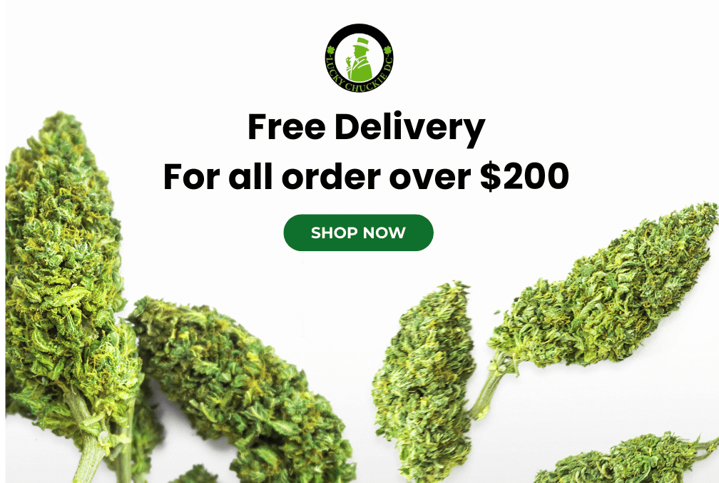Free Delivery for all order over $200