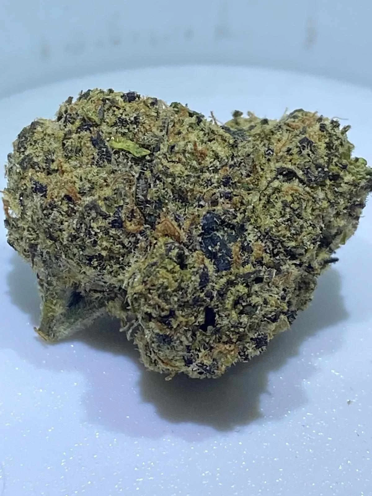 Lemon Cherry Lucky Chuckie 2025.jpg