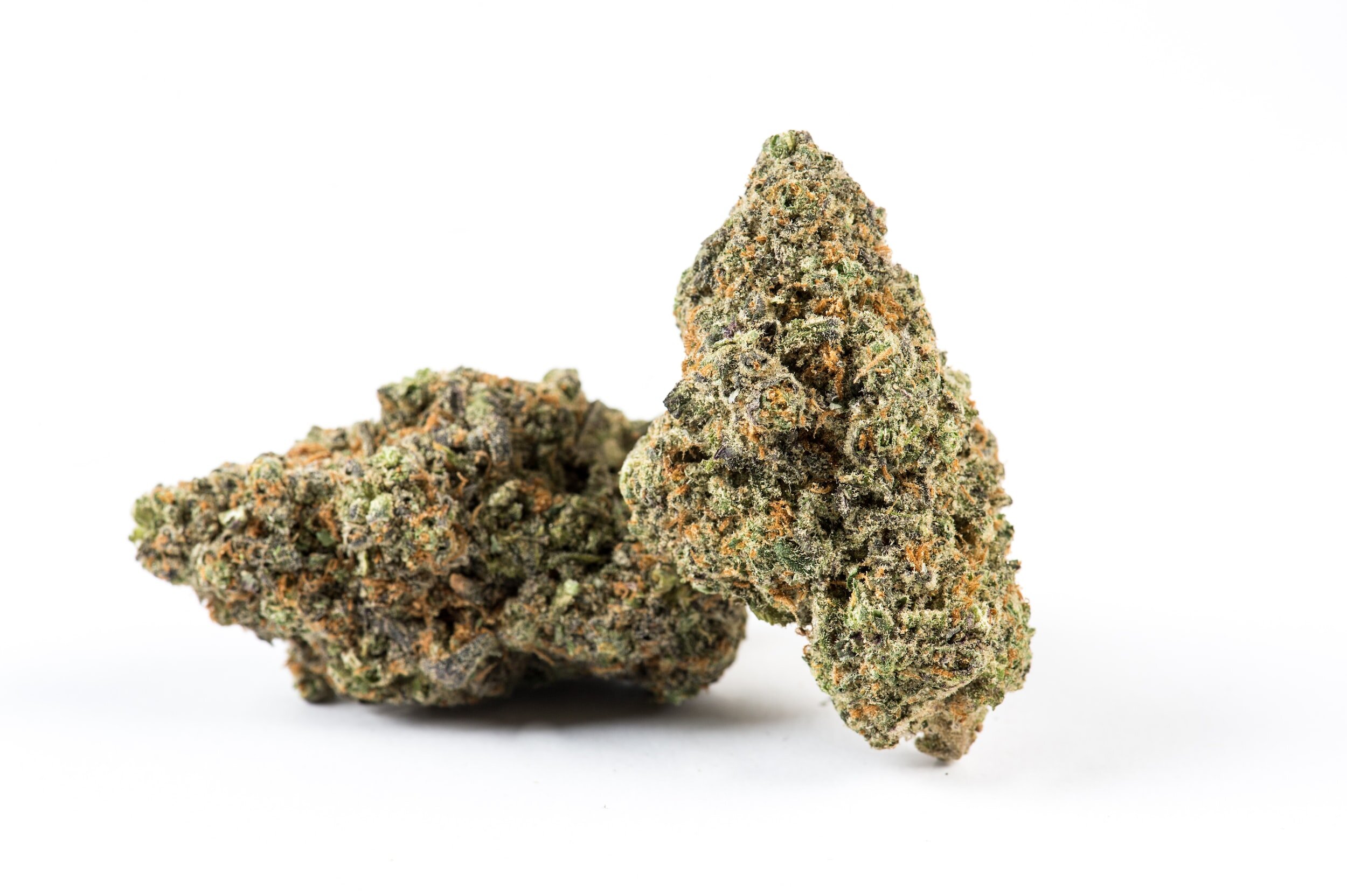 Oreoz Weed strain
