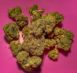 Natural Vibes D.C: How Can Cannabis Help Treat PTSD 