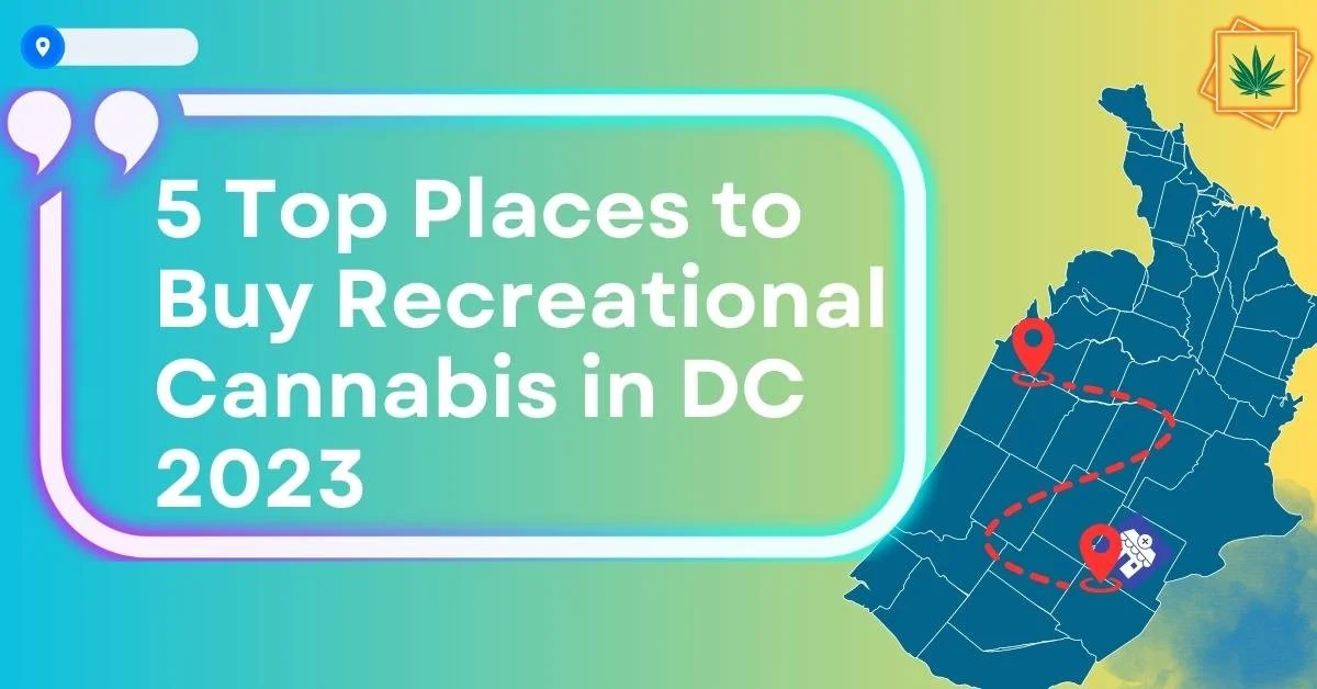 5 Top Places to Buy Recreational Cannabis in DC 2023