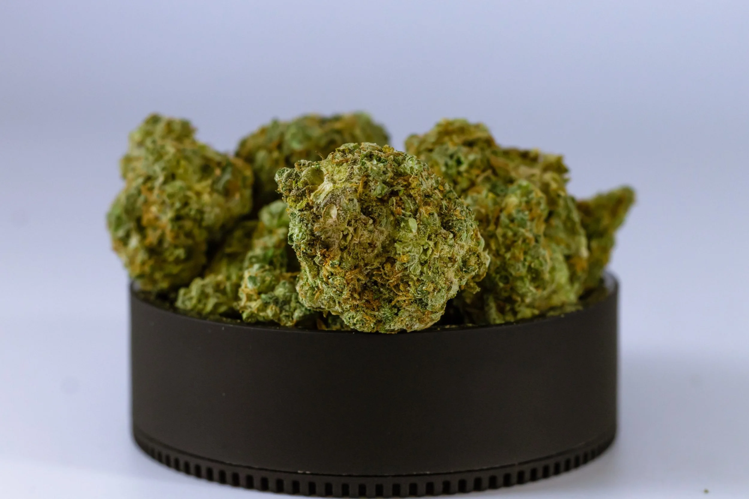 Maximizing Value: Navigating Lucky Chuckie DC's Membership Programs for Affordable Cannabis Access