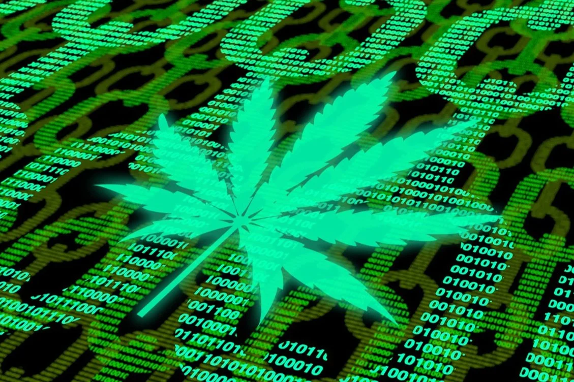 Elevated Lounge DC - Breaking Barriers: The Shifting Legal Landscape of Cannabis and Its&nbsp;Economic&nbsp;Impact